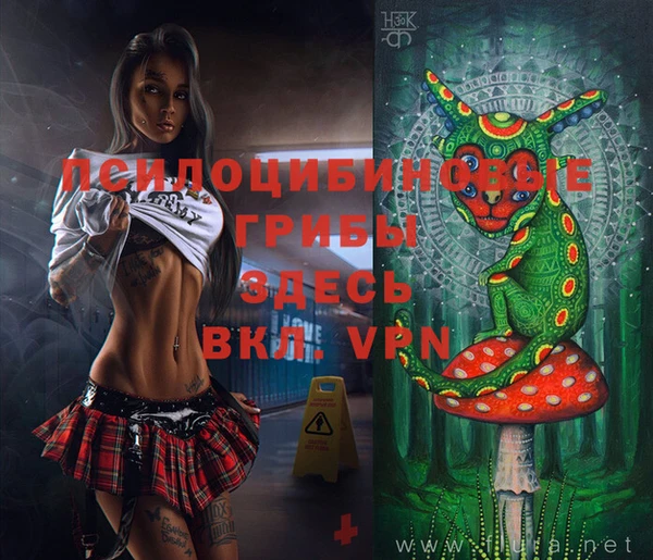 первитин Медногорск